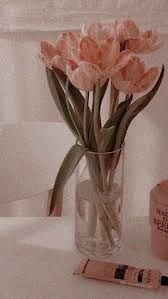 Background coklat susu 3 background download. Srii R Cahyatii Scahyatii Profil Pinterest