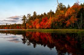 Capturing Fall Colors with Landscape Photography