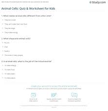 Animal cells are packed with amazingly specialized structures. Animal Cells Quiz Worksheet For Kids Study Com