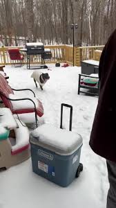 calebboling09 (@caleb.boling3)’s videos with original sound