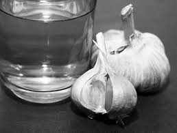 You can do this with most other red and green lettuces as well. How To Grow Garlic In Water Garden Eco