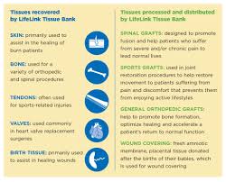 Image result for Tissue Donation