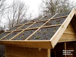 Ancaya Green Roof Garden Shed Greenroofs Com Green Roof Garden Green Roof System Green Roof