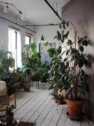 Definitely rare, strange, and interesting. The Accidental Jungle Shabd Simon Alexander S Houseplants In A New York Apartment Gardenista