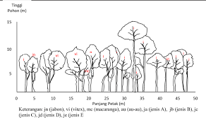 Selain itu, dengan perkembangan teknologi yang menjadikan anaka anak atauorang dewasa pun telah dapat mencari di interney dengan memakai hp yang dibawanya. Gambar Figure 2 Profil Tegakan Hutan Sekunder Desa Woda Secondary Download Scientific Diagram