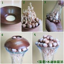 蒲葵 圓蓋快速掛瓶法 種子盆栽diy jeff s garden 痞客邦 jar decorative jars plants