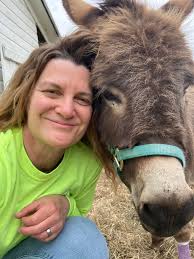 Horse for adoption in Colts Neck, NJ