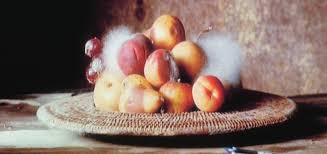 Artwork Still Life Exploratorium Food Woods Photography Natural Forms