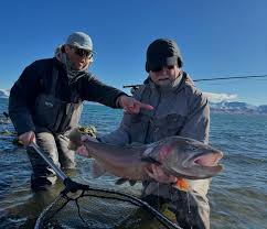 Profile for Pyramid Fly Co.