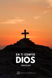 Versiculos Biblicos Frases De Salmos Biblia Versiculos Biblicos
