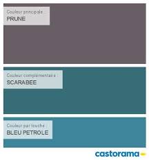 Castorama Nuancier Peinture Mon Harmonie Peinture Prune Satin De Colours Collection Nuancier Peinture Peinture Gris Clair Peinture Prune