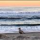 Sunday Sanctuary - Reiki in Rockaway, NYC event in Far Rockaway, NY
