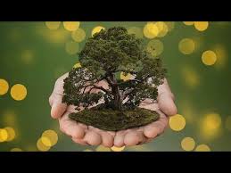 It's celebrated on july 28 yearly. World Nature Conservation Day 28th July 2021 Worldnatureconservationday Nature Environment Youtube