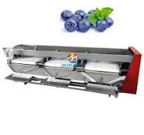 Fully Automatic Blueberry Sorting Processing Equipment Blueberry Fruit  Sorting Machine