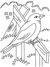Primarygames is the fun place to learn and play! Beautiful Bird Coloring Page