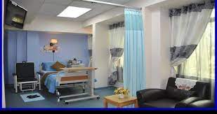 For more information and source, see on this link : Layanan Vip Di Hospital Kerajaan Fpp Full Paying Patient