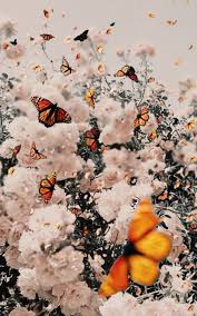 Retro aesthetic wallpaper ipad, these wallpapers are free download for pc, laptop, iphone, android phone and ipad desktop. Butterfly Aesthetic Butterflies Cute Flowers Nature Vintage Hd Mobile Wallpaper Peakpx
