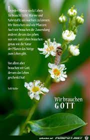 It has a global traffic rank of #58,382 in the world. Funpot Ein Pot Voller Spass Und Sehenswertem