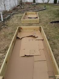 Lay Down A Thick Layer Of Cardboard In Your Raised Garden Beds To Kill The Grass It Is Perfectly Safe To Use And Raised Garden Garden Beds Raised Garden Beds