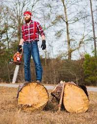Pin On Best Professional Chainsaw