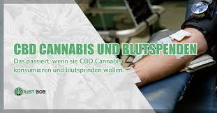 Cbd Cannabis Und Freiwillige Blutspenden Justbob