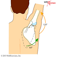 Preventing Rotator Cuff Injuries With Corrective Exercise (Part 1)