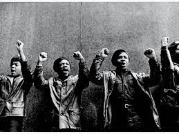 Black Panthers History Definition Timeline History