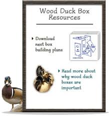 It says it can hold up to 12 ducks. Diy Wood Duck Nest Boxes Bass Pro Shops