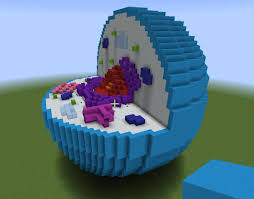 Use the control buttons along the bottom to run the complete animation. An Animal Cell Model That I Built For My Grade 8 Science Project Minecraft