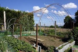 3 Realisations En Treillis Soude Faciles A Faire Treillis Jardin Treillis Bricolage De Jardin