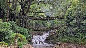 The village in meghalaya's east jaintia hills district has now risen like the proverbial phoenix to become a. Meghalaya Travelogue And Travel Stories A Backpacking Tour Of Meghalaya Hello Travel Buzz
