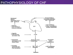 Diagram Of Chf Search Wiring Diagrams