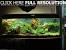 Cool Fish Tank Decoration Ideas