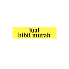 Harga terjangkau kami memiliki kapasitas besar berbudidaya bibit tanaman dan pohon, sehingga harga dapat ditekan dan bahkan lebih murah. Bibit Tanaman Buah Surabaya Sidoarjo Home Facebook