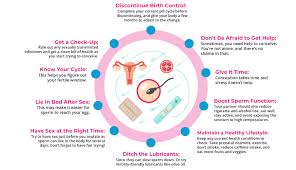 Resources & support to help navigate your fertility journey. How To Get Pregnant Fast 10 Tips For Faster Conception