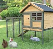 Caged Animal Large 74-Inch Outdoor Rabbit Hutch - Waterproof Roof, 2-Tier  Design W/ Removable Tray For Bunnies & Guinea Pigs Guinea Pig Cages