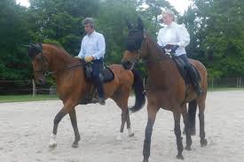 Le transfert de l'apprentissage dans d'autres situations: Ecurie De Charcay La Passion Du Cheval