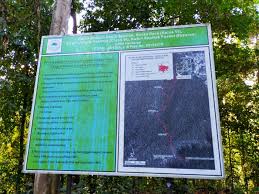Suitable for children but keep a close eye on them. Wikiloc Sepilok Laut Reception Center Via Kabili Trail Sepilok Rainforest Discovery Center Trail
