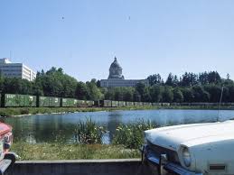 Image result for Olympia Blue 1980 Motor Home