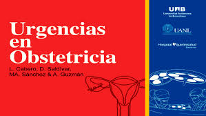 Restricciones de uso durante el embarazo y la lactancia: Pdf Shock Septico En El Embarazo