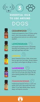 Top 5 Best And Worst Essential Oils To Use Around Dogs Essential Oils Dogs Essential Oils For Fleas Are Essential Oils Safe
