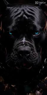 Thomas Eisert (@thomas.eisert)