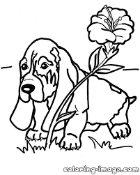 Dogs are very eager to work alongside humans. Basset Hound Coloring Pages Coloring Pages For All Ages Coloring Home