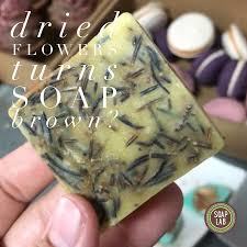 Get the best deals on dried flowers. Soaplab Malaysia Why Does Adding Dried Flower Into Soap Turns Brown After Some Time