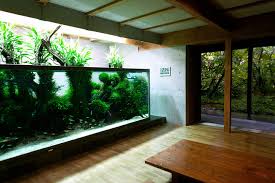 Photographer, takashi amano's portfolio website. Zauberhafte Aquarien Von Takashi Amano Wsj