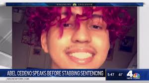 Abel Cedeno Speaks From Rikers Before Stabbing Sentence