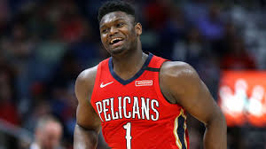 Can you name the only 3 players. Aquarium Names Penguin Chick After Zion Williamson