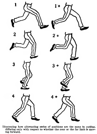 How to draw the outline of a person's profile. How To Draw And Animate A Person Walking Or Running Huge Guide And Tutorial How To Draw Step By Step Drawing Tutorials