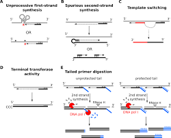 Capturing The Ome The Expanding Molecular Toolbox For Rna And Dna Library Construction Abstract Europe Pmc