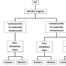 Joan D Nagels Research Works National Institutes Of